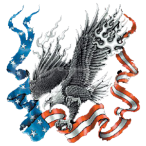 A10538F_1.png eagle – Broken Halo Graphics and Design